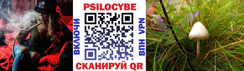 Псилоцибиновые грибы GOLDEN TEACHER omg как войти сайты даркнета формула Торопец
